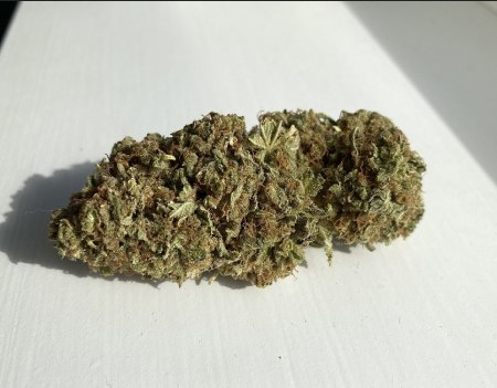 Weed